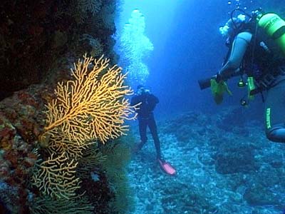 Kornati_podmorje Podmorje